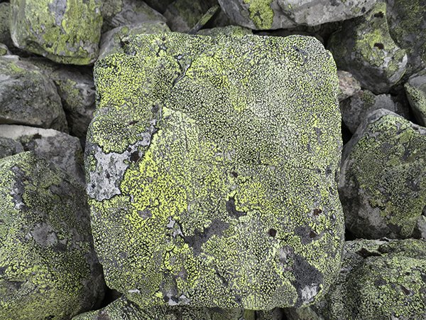 stone